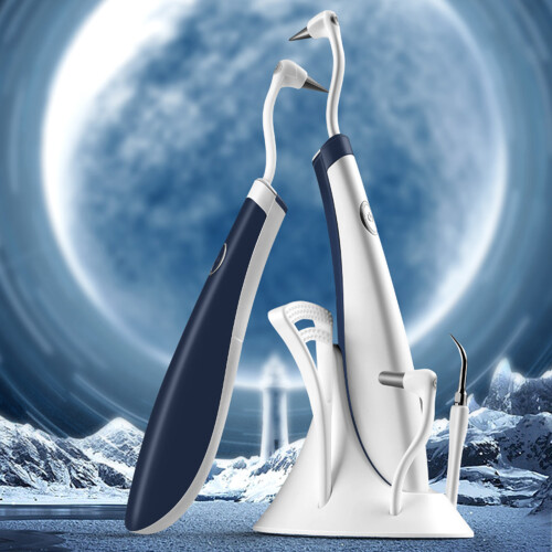 Pulitore Denti Elettrico LED 5 Teste Cura Orale 1