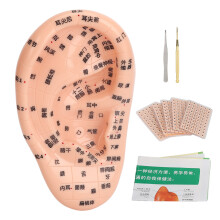 Ear Sticker Acupuncture Kit 600pcs Massage Tweezer Probe Pen Chart