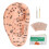 Ear Acupuncture Kit 600pcs Massage Tweezer Pen Chart 1