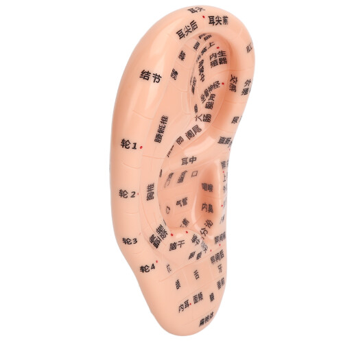 Ear Acupuncture Kit 600pcs Massage Tweezer Pen Chart 2