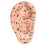 Ear Acupuncture Kit 600pcs Massage Tweezer Pen Chart 4