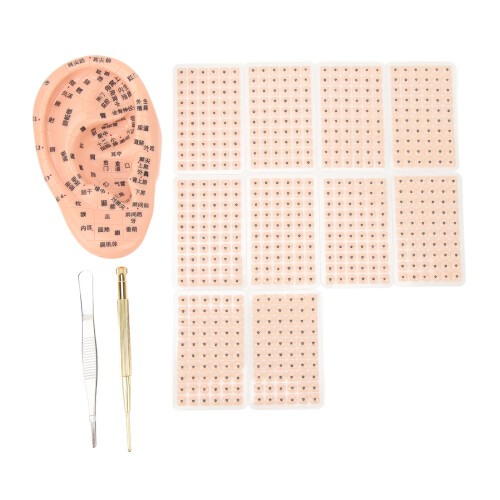 600 Stks Acupunctuur Oorbellen Massage