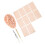 600 Stks Acupunctuur Oorbellen Massage 4