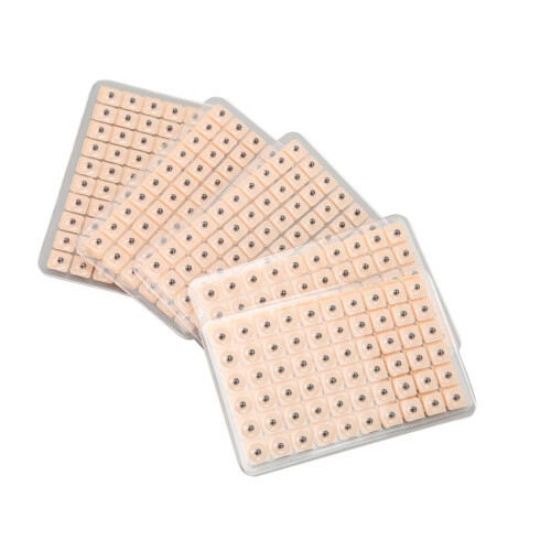 600Pcs Acupressure Ear Beads Massage Stones 2