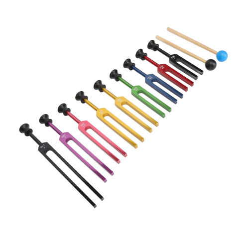 Stimmgabel-Set Aluminium Langvibration mit Hammer 1