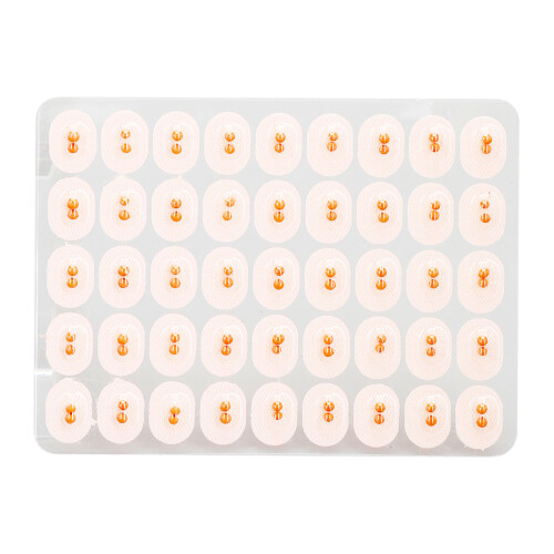 450pcs Ear Acupuncture Massage Patches 2