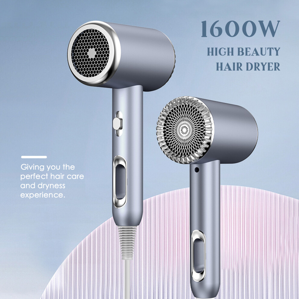 Negative Ion Hair Dryer 2 Speeds 3 Heat Settings Concentrator Nozzle