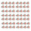 28Pcs 2 Body Shaping Tea Flat Abdomen Organic 3