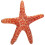 Sea-Star Plush Strandtema Ocean Inredning 7