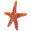 Sea-Star Plush Strandtema Ocean Inredning 5