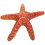 Sea-Star Plush Strandtema Ocean Inredning 8
