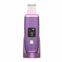 (Purple) Spatola Viso Ricaricabile 4 Modalità Rimozione Punto Nero