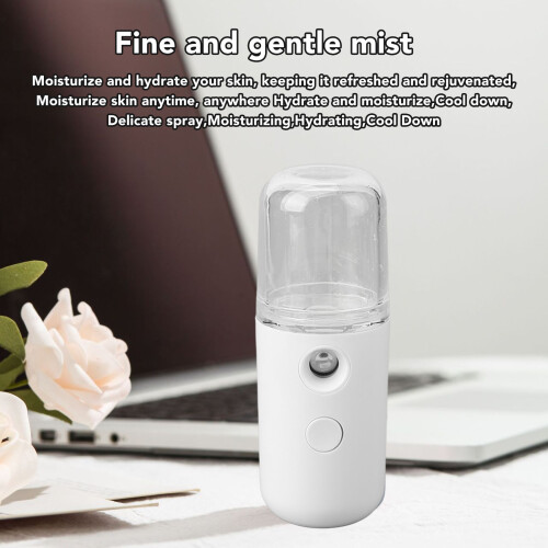 Großes Gesichtsspray Steamer USB für Hautpflege 2
