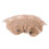 10Pcs Sacca Ostomy Drenabile Impermeabile 4
