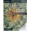Cambridge International AS amp A Level Mathematics Probability amp Sta 1