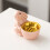 Scented Candle Warmer Rabbit Incense Burner Lovers 8