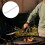 Stainless Steel För Kökets Användning 5