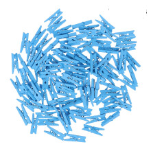 100 Pcs Mini Pennor Hållare För Konstverk
