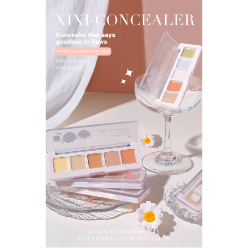 Concealer Palette Liquid Full Coverage Dark Circles