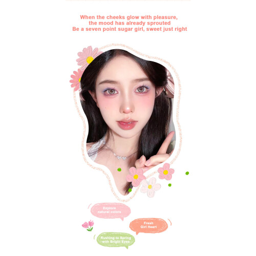 Wangröte-Palette Kosmetik-Makeup 2