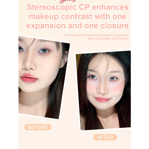 Blush Cheek Color Powder Palette Makeup Tool 2