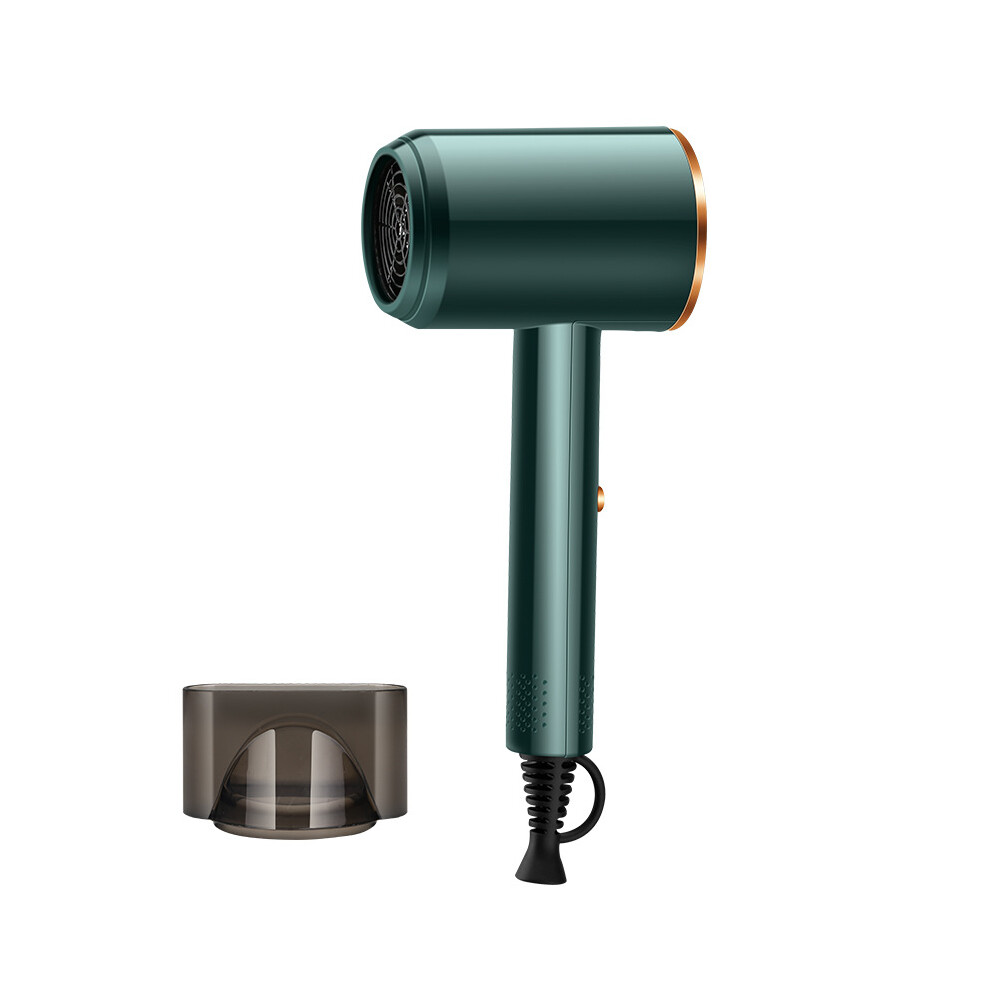 800W Electric Hair Dryer Heat Speed Settings Portable