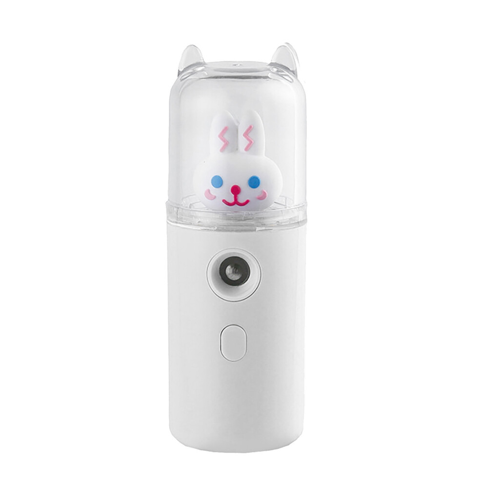 White/Pink () Facial Mist Sprayer 30Ml Usb Rechargeable Moisturizing Humidifier