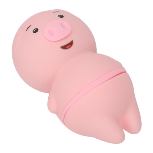 Klitorisstimulator USB-aufladbar, leise Massage 2