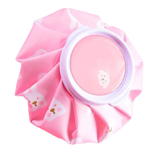 (Type 1) Mini Ice Bag Cartoon Floral Cold Hot Use Pack for Summer 2