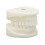 Tooth Model Educational White Corundum Dental Teaching 5