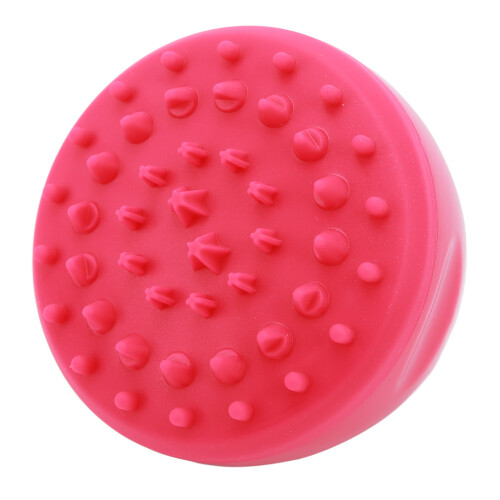 Exfolierendes Shampoo-Bürsten-Set Cellulite-Entfernung 2