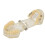 Transparent Dental Implant Model for Teaching 4