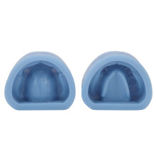 2x Silicone Full Mouth Plaster Model Mold