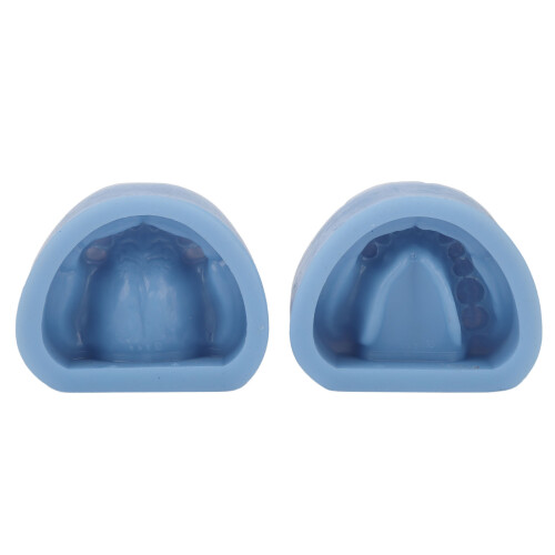 2x Silikon-Kiefermodell wiederverwendbar