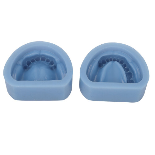 2x Silikon-Kiefermodell wiederverwendbar 1