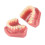 Ceramic Orthodontic Model Teeth Metal Wires Bracket Teaching 4