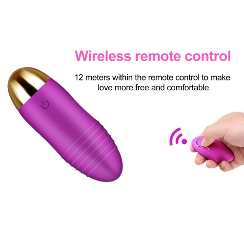 Drahtlose Fernbedienung Eivibrator USB 2