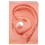 Right Ear Transparent Red Acrylic Waterproof Model 3