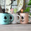 Animal Design Mini Keramiksked För Barn ( ) 5