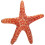 Sea-Star Plush Strandtema Ocean Kastkudde 7