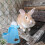 2St Hamstervattenflaska Automatisk (Himlabil, Ljust ) 11