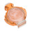 75ml Damenparfum Spray Blumig Lang anhaltend 4