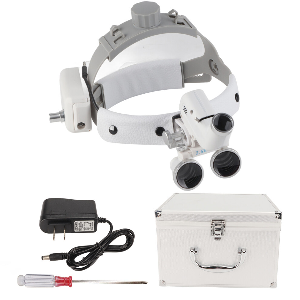 (US Plug) 2.5X Lighted Head Magnifier Adjustable Brightness Dental EU Plug