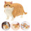 Cute Realistisk Kattfigur För Barn Simuleringskatt 11