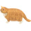 Cute Realistisk Kattfigur För Barn Simuleringskatt 5