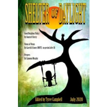 Shelter of Daylight June 2020 Paperback Book