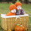 Halloween- Handgjord Stickad Barnhatt Orange 10