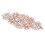 Rhineston Applikation Bröllopsbälte Syapplikation 4