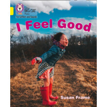 I Feel Good by Susan Frame Paperback Book