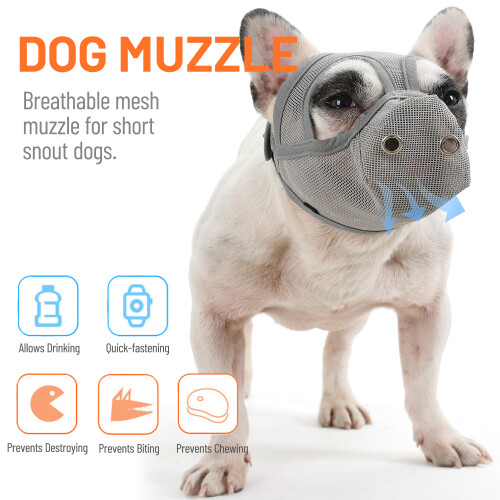 Breathable Mesh Short Snout Dog Muzzle, Adjustable & Lightweight 2